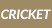 Cricket