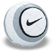 Nike Team 300