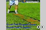 Quick Foot Diagonal Jumps.LaddersAgility Drills Coaching