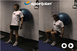 Swiss Ball Wall squatShoulderFitness Drills Coaching