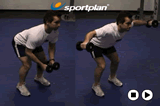 Bent over reverse flyUpper Back / ShoulderWorkout Drills Coaching