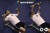 Incline dumbbell chest pressChestWorkout Drills Coaching