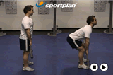Straight leg deadliftUpper LegWorkout Drills Coaching