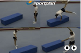 Face Vaults over the middle of a platform   Cart Wheel ProgressionKey 2 content WheelsGymnastics Drills Coaching
