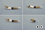Log Twist to TuckKey 1 Body Conditioning Linkage 3Gymnastics Drills Coaching