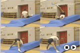Backward Roll Straddle Progression 5Key 2 content Backwards RollGymnastics Drills Coaching