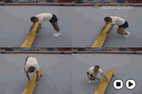 Bench work 3Key 1 content ApparatusGymnastics Drills Coaching