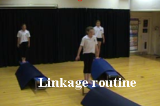 Linkage - Action RoutineKey 1 GC LinkageGymnastics Drills Coaching