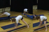 Straddle Vault along apparatusKey 1 content ApparatusGymnastics Drills Coaching