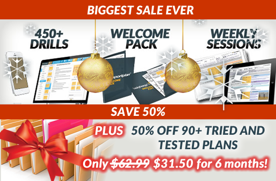 Christmas sale - for a limited time only
