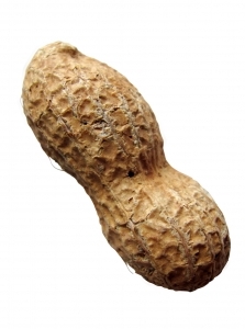 What's the code word?