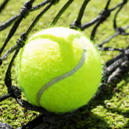 Bounce back from a blip