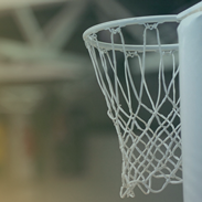 Wasps Netball: The Sting in the Superleague's Tail