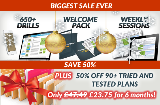 Christmas sale - for a limited time only