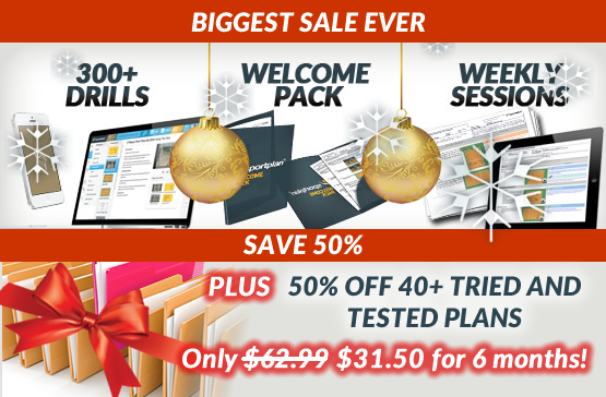 Christmas sale - for a limited time only