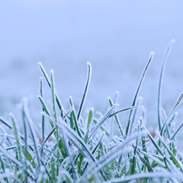 Cold in winter? You're not breathing properly